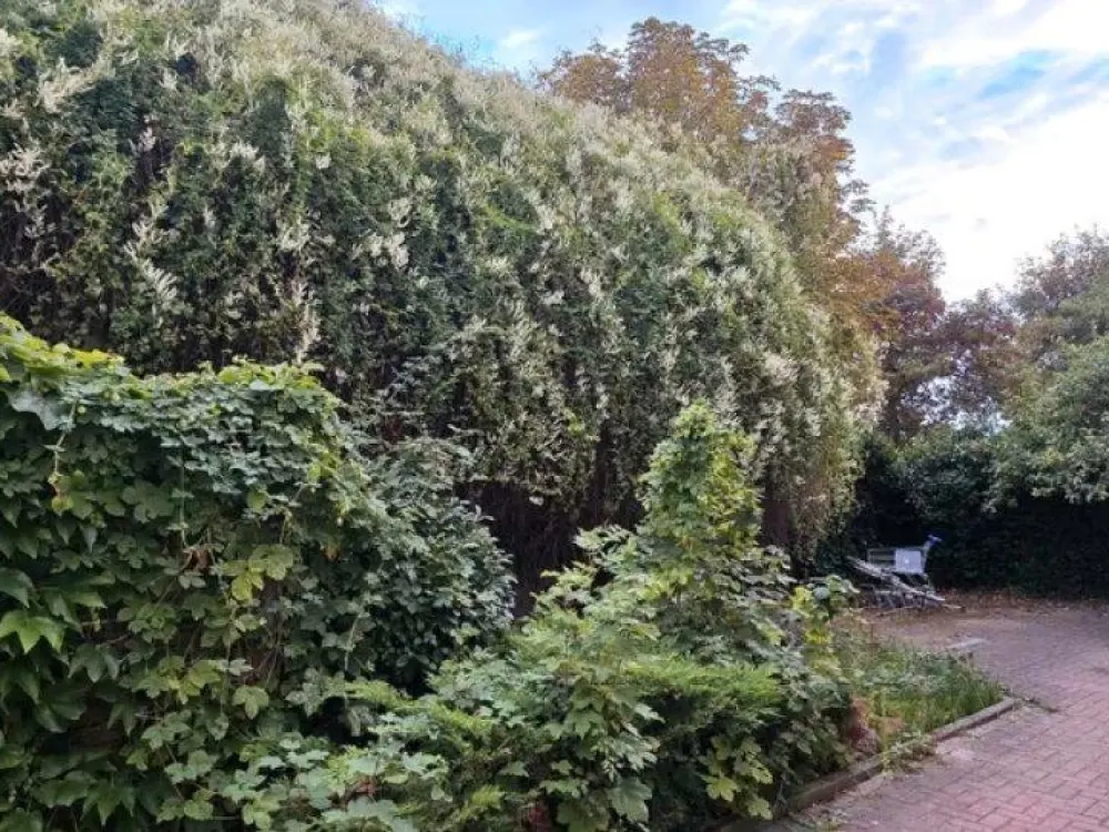 2-Zi-Wohnung in Leipzig 04347, ab 01.10 / Besichtigung am 18.09