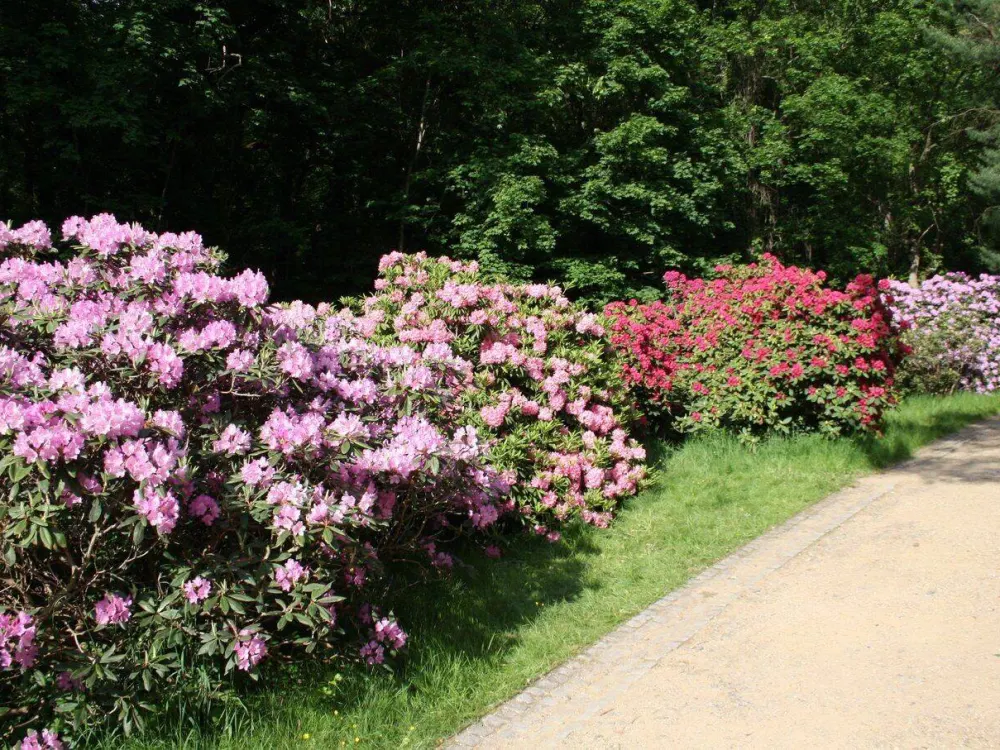 2-Zimmer mit Terrasse und eigenen Garten im Denkmal "König Johann" (WE 39)