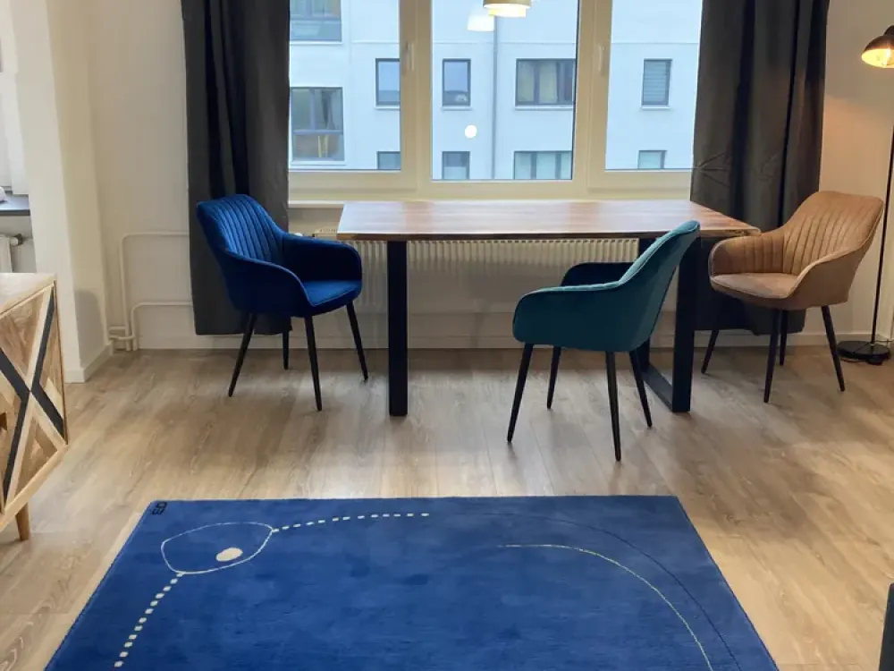 Möblierte -Sanierte 1- Zimmerwohnung ohne Balkon frei ab 1. Oktober 2026