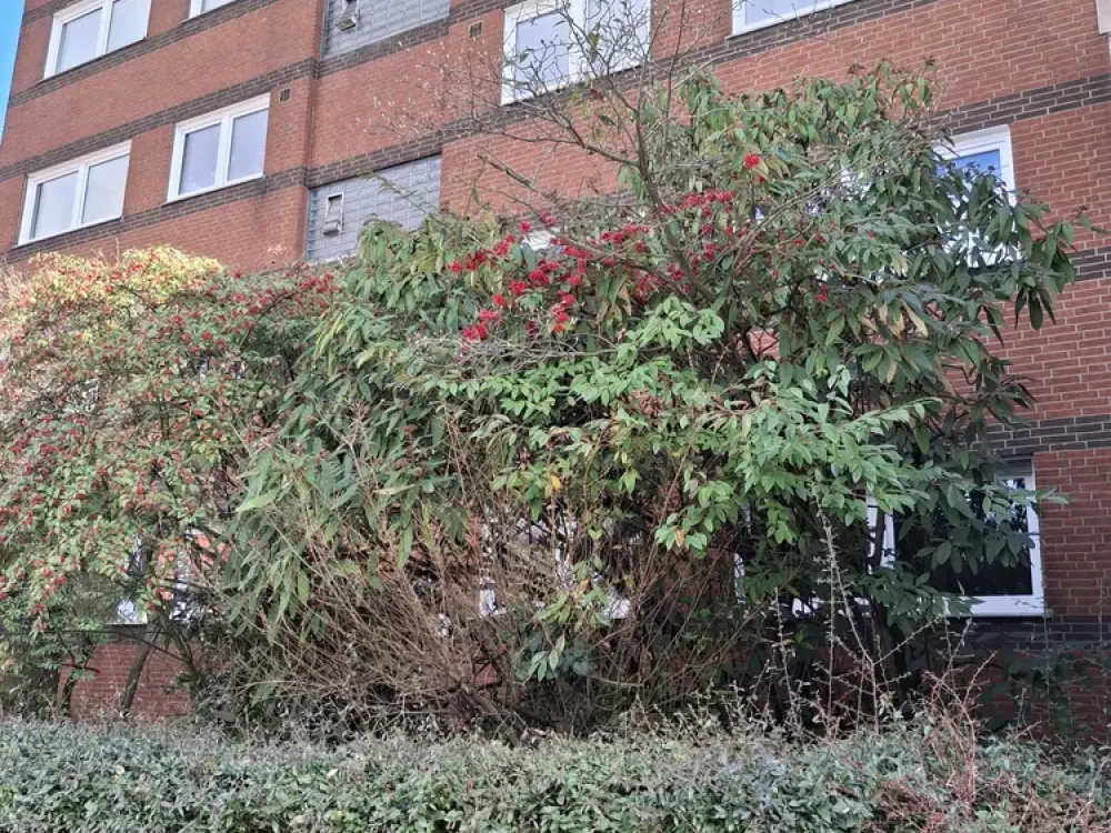 3-Zimmer-Wohnung in Duisburg-Huckingen