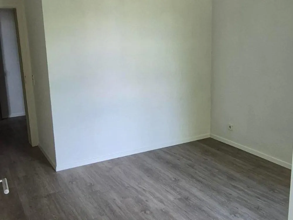Moderne & großzügige 2,5 Zimmerwohnung in Pirna ab sofort frei!