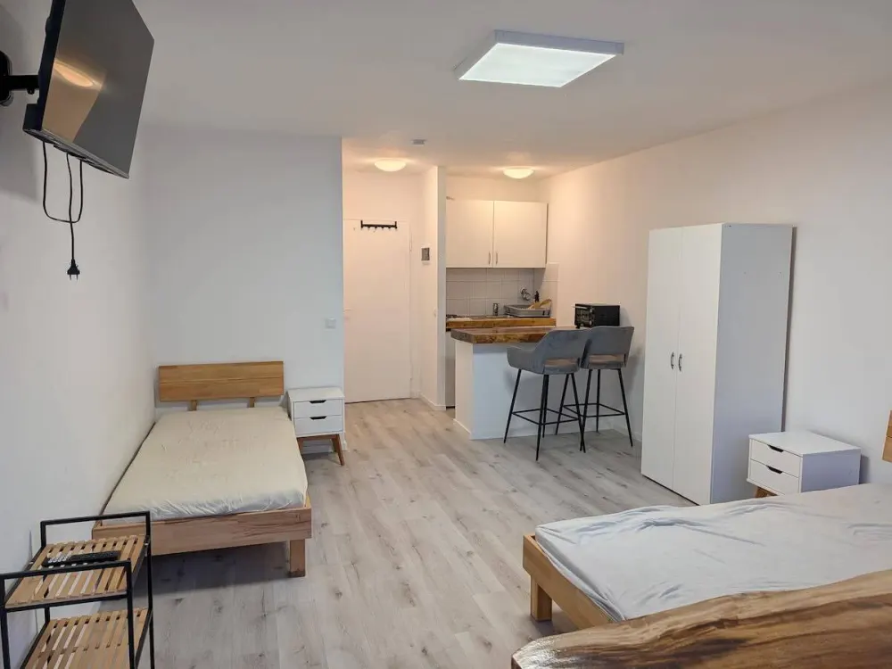 Koffer auspacken & wohlfühlen: Teilmöbliertes City-Apartment direkt am Stadtpark!