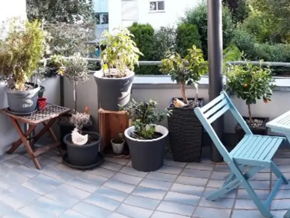 Sunny and Quiet 3-Room Apartment in RV-Weststadt