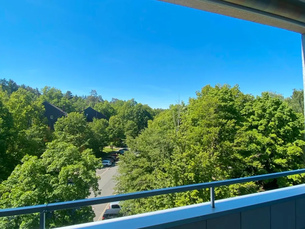2- Zimmer-Wohnung mit Balkon & toller Aussicht