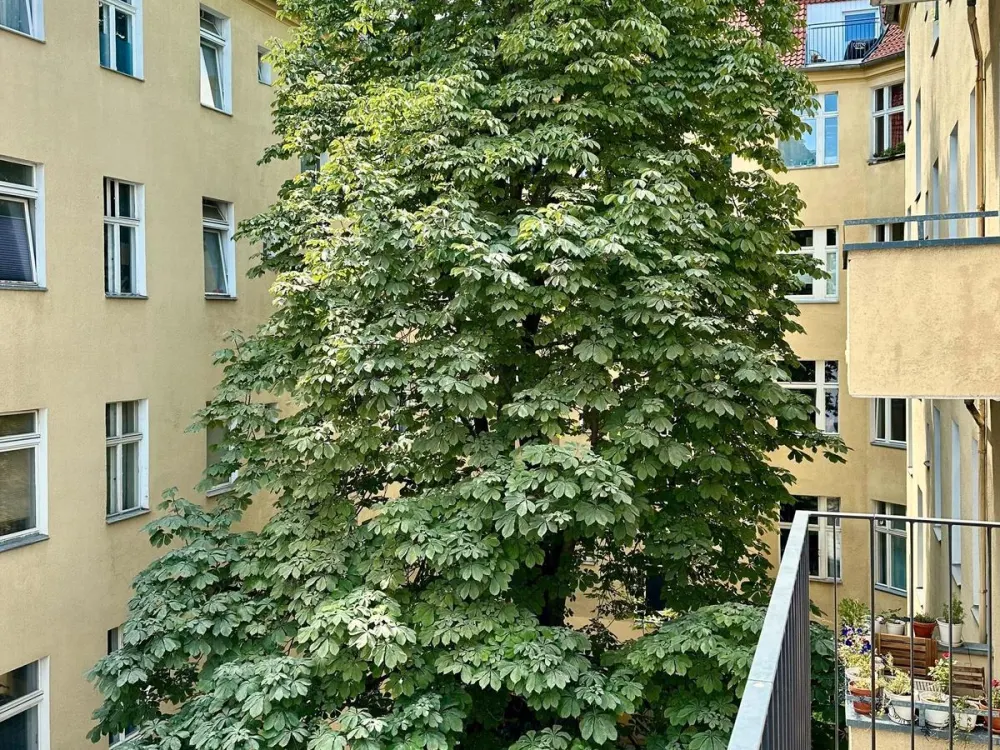 Traumhafte, ruhige und großzügige 2-Zi.-Whg. mit Balkon & hochwertiger EBK!