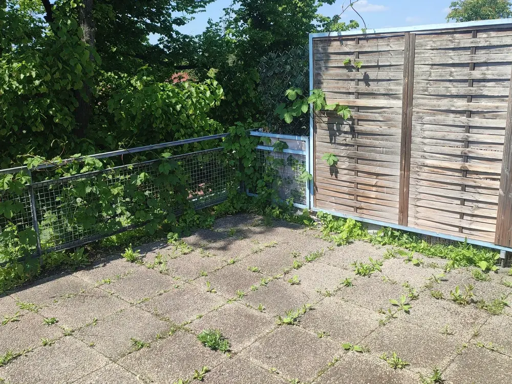 Gute Lage Welfenallee Maisonettenwohnung mit Dachterrasse