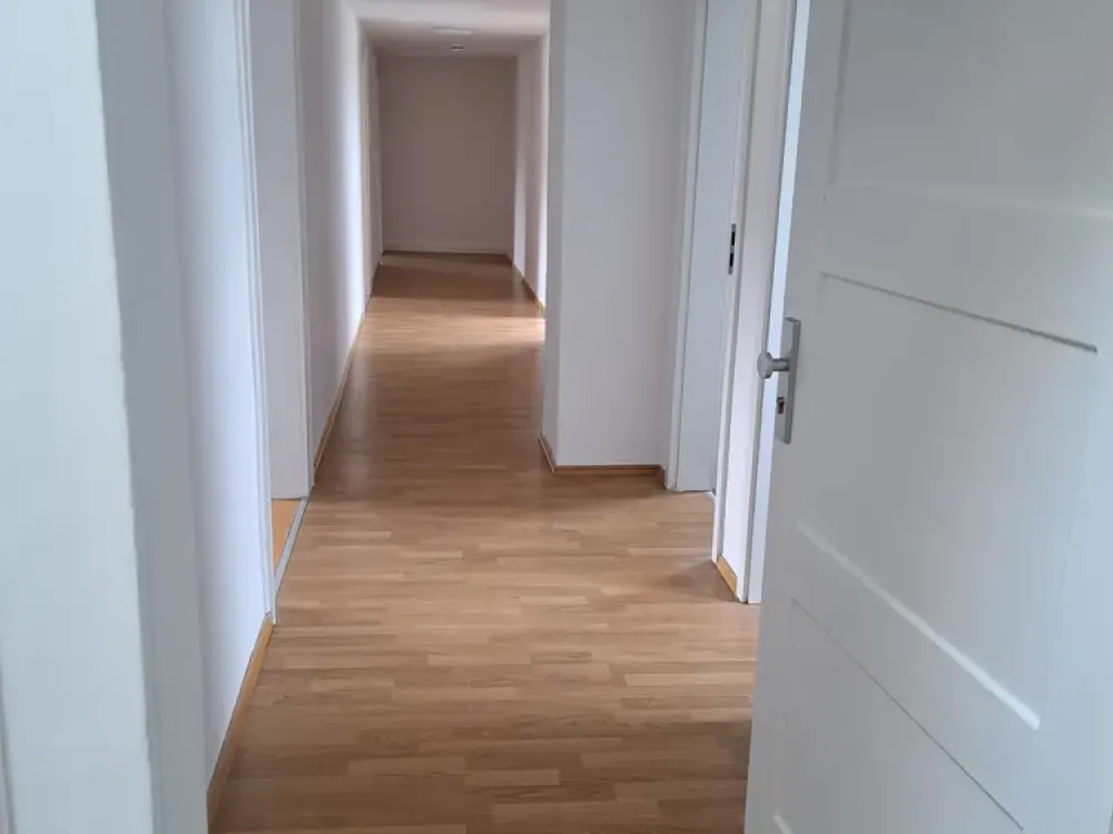 frisch renovierte, helle 3-Zimmer-Wohnung