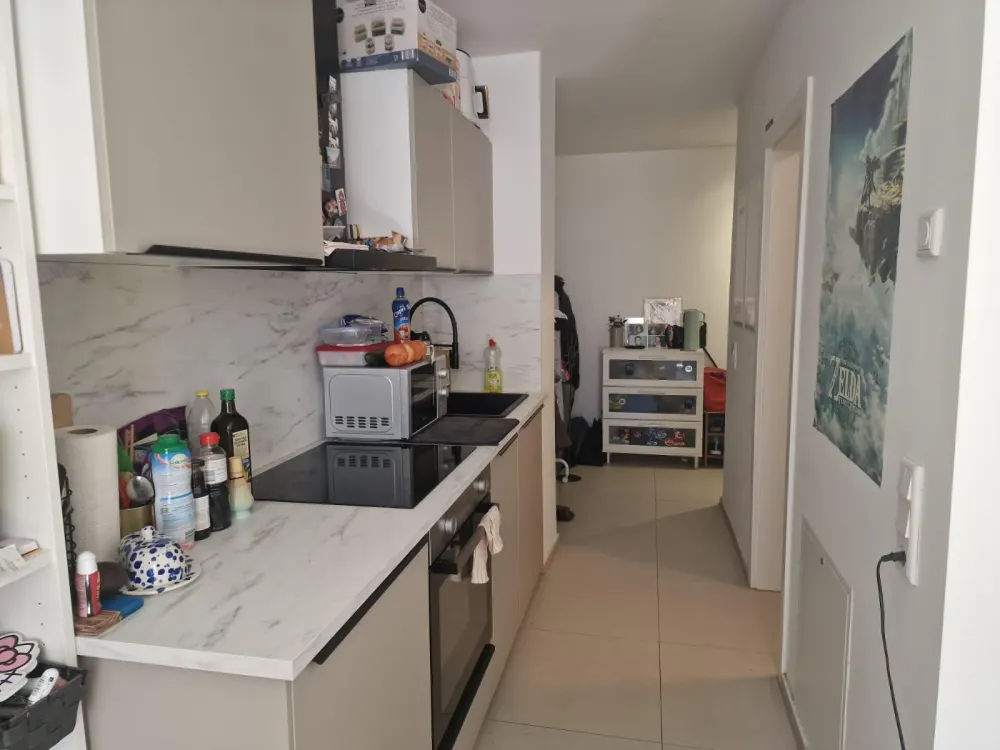 Helle 1-Zimmer-Wohnung in Leipzig-Plagwitz, 23,87 m2 (2024)