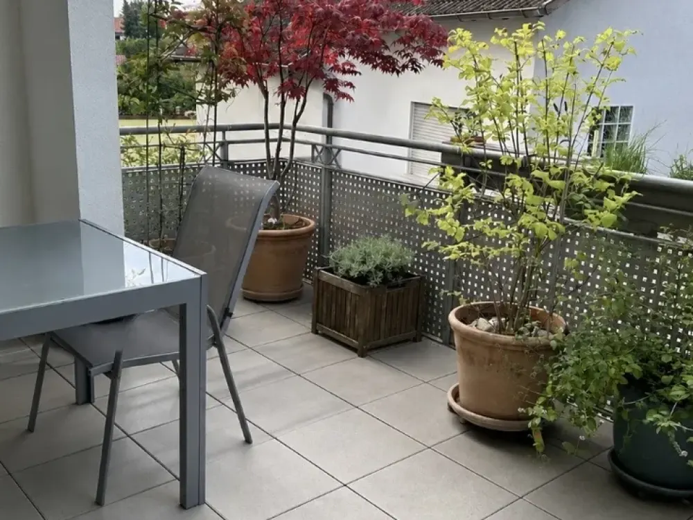 Helle 3-Zimmer-Wohnung mit großem Balkon, Aufzug, Einbauküche und Carport