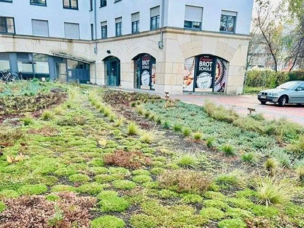Modern 1-Room Apartment in the Heart of Leipzig Zentrum-West