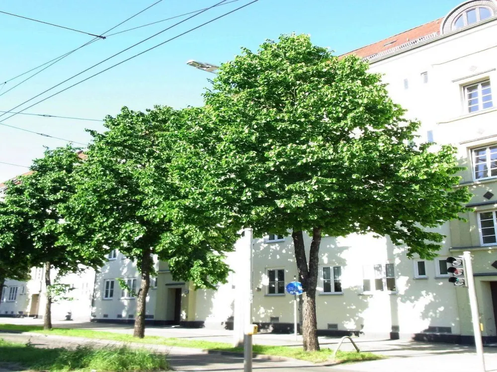 Eutritzsch - tolle Singlewohnung im Leipziger Norden mit Tageslichtbad und Balkon
