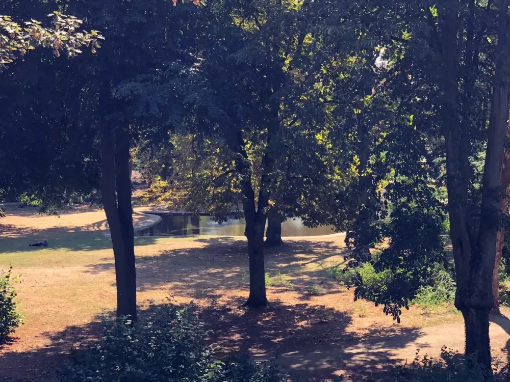 !! Möblierte 1-Zimmer Wohnung direkt am Kurpark Bad Vilbel !!