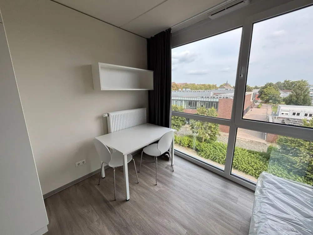 Möbliertes 1-Zimmer-Apartment in Münster