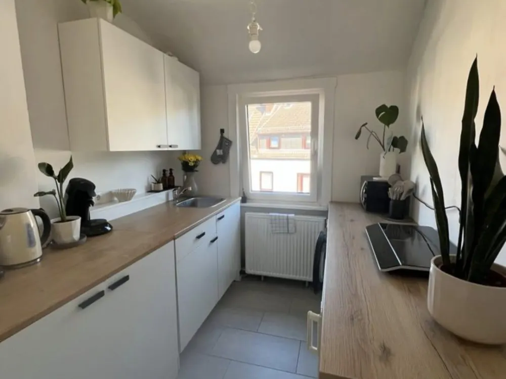 3 Zimmer Single Wohnung