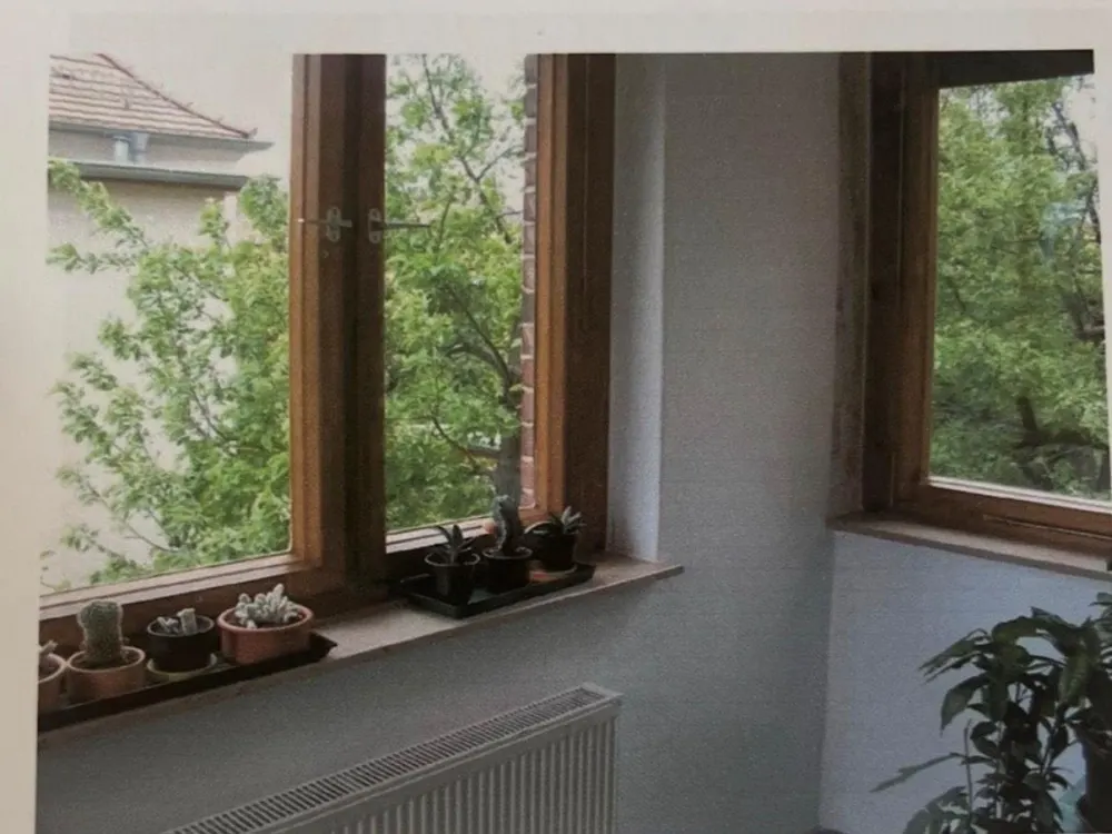 Helle 2-Zimmer-Wohnung mit Garten in Dresden