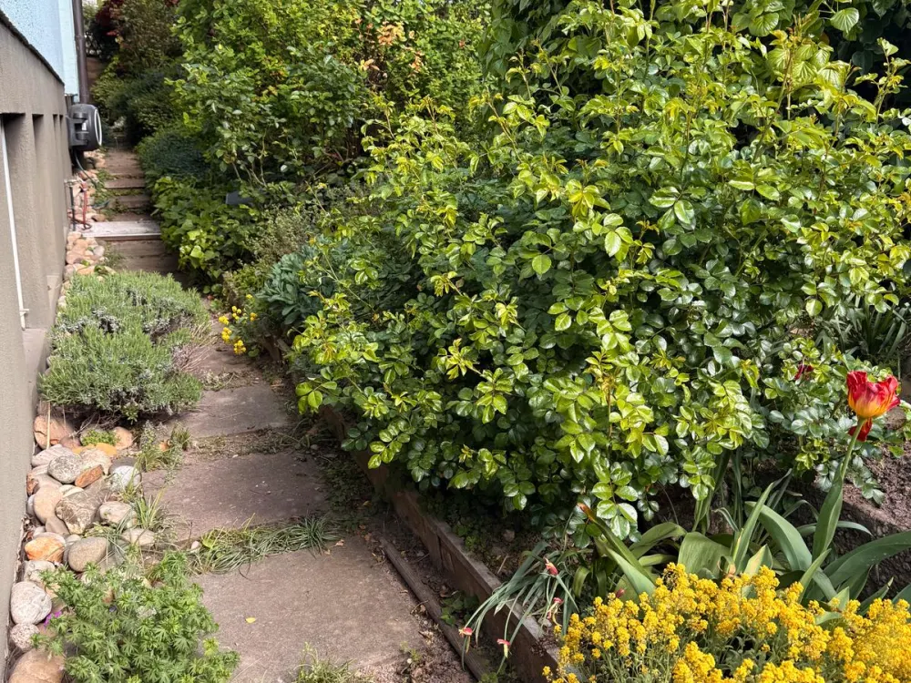 2,5 Zi. Wohnung mit neuer EBK, eigenem Eingang & Garten,Stuttgart