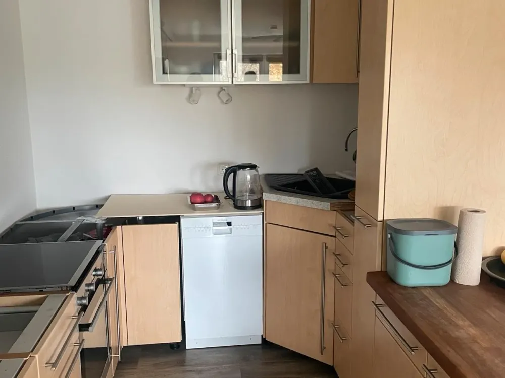 Bright 2-Room Apartment with Dream View
