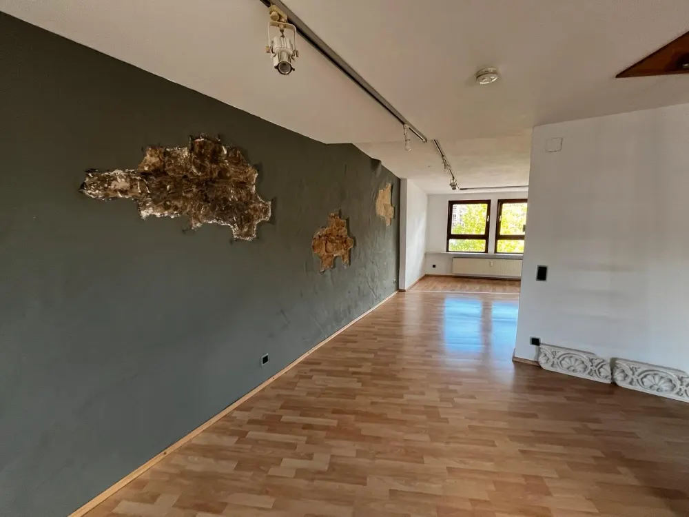 Charmante 2-Zimmer-Wohnung in zentraler Lage, Einbauküche inkl.