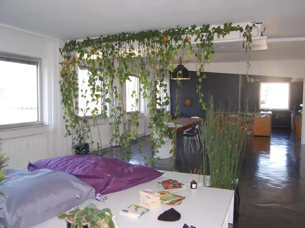 Atelier / Loft