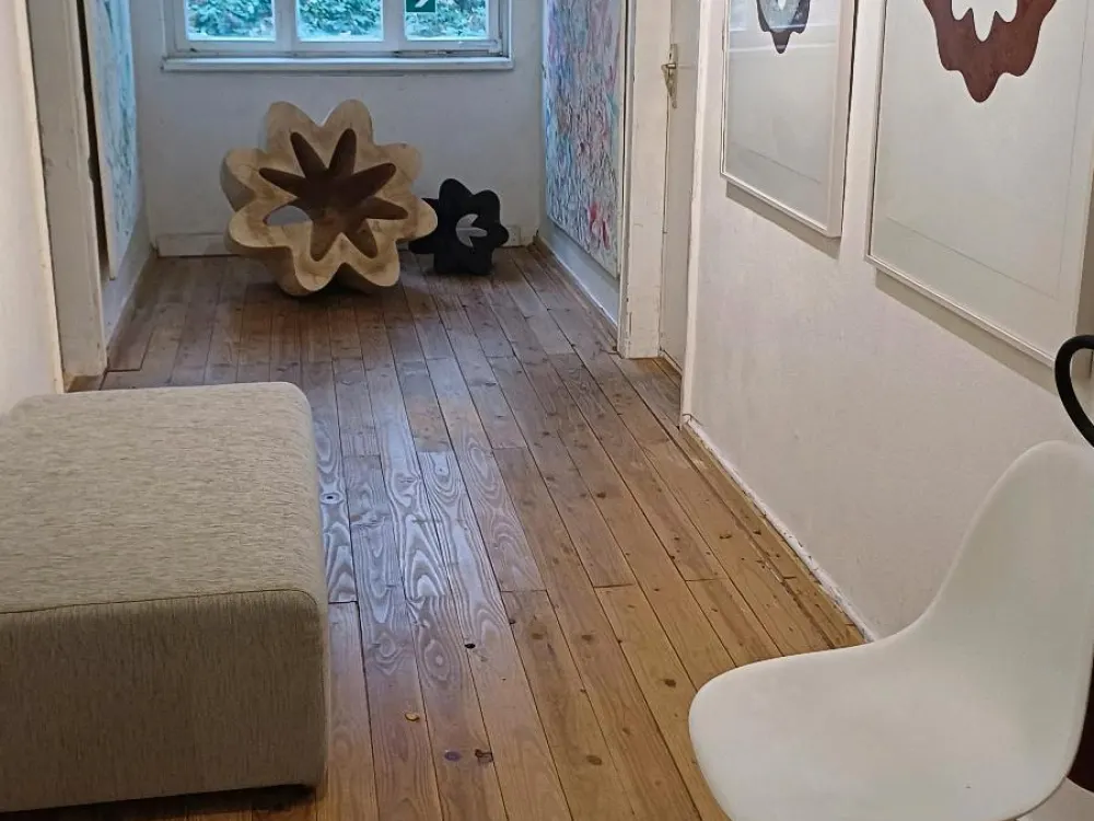 atelierwohnung 250 qm