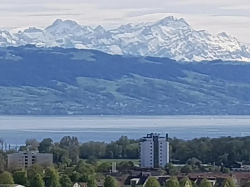 3-Zimmer Wohnung in Traumlage mit Küche und Terrasse