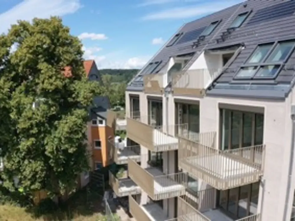2-Room Apartment: Living with a Wide View