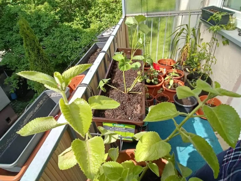 Fully Furnished 60 m² Apartment in Munich - Short-Term Sublet