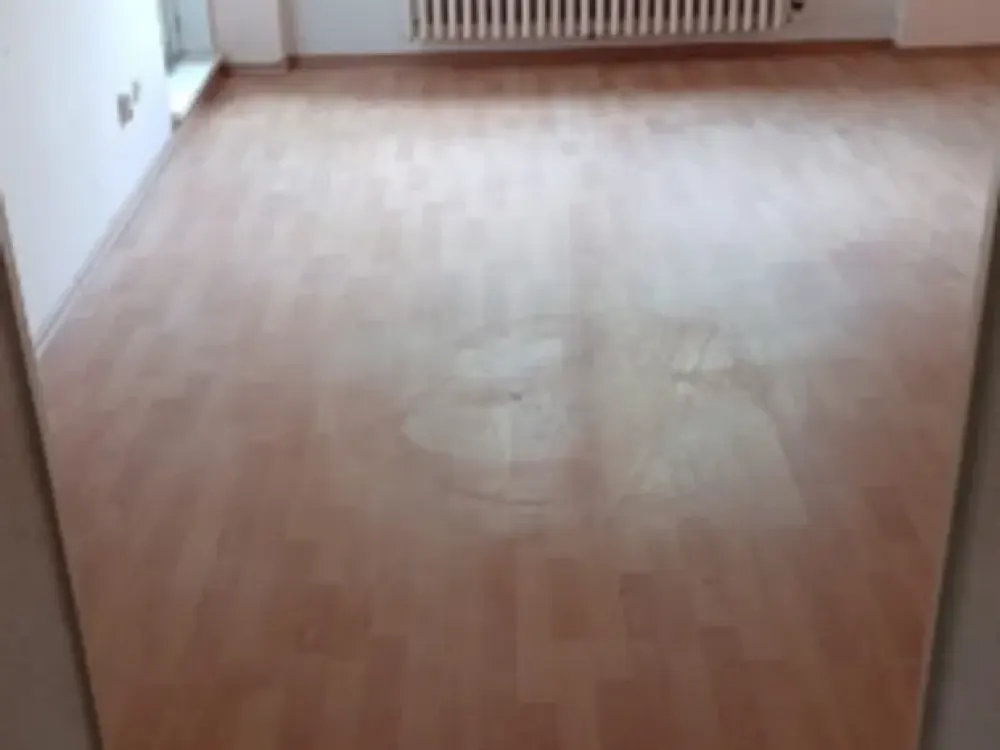 Schöne 2,5 ZKB Wohnung