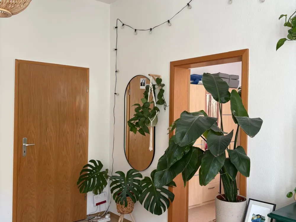 Bright 2-Room Apartment in Bebelstraße from 01.11./01.12.