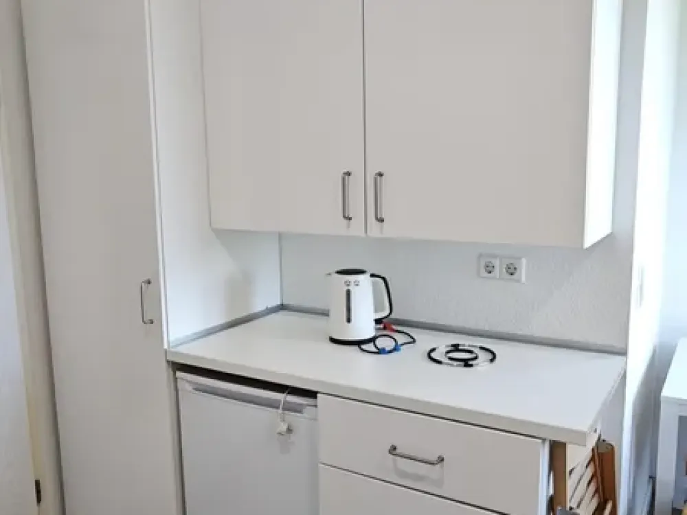 vollmöbliertes 1-Zimmer-Apartment in Leipzig