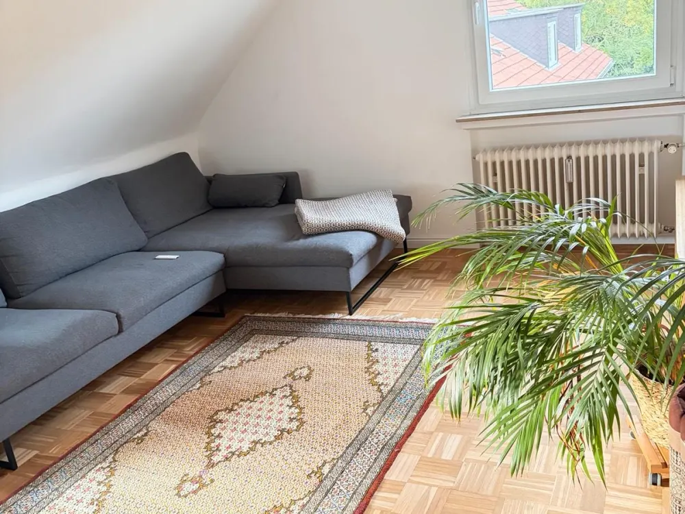 Helle 72qm DG Wohnung am Stadtpark I Parkett | EBK I ab 01.12.
