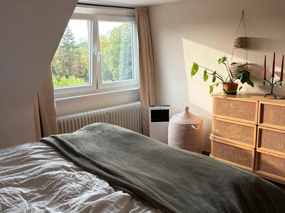 Helle 72qm DG Wohnung am Stadtpark I Parkett | EBK I ab 01.12.