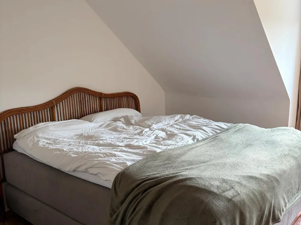 Helle 72qm DG Wohnung am Stadtpark I Parkett | EBK I ab 01.12.