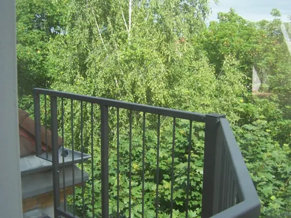 ***Lichtdurchflutete DG-Wohnung mit Balkon, Kamin und Wannenbad***