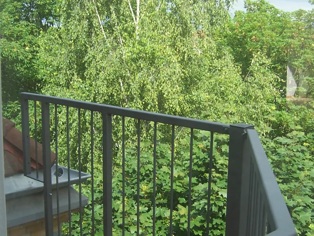 ***Lichtdurchflutete DG-Wohnung mit Balkon, Kamin und Wannenbad***