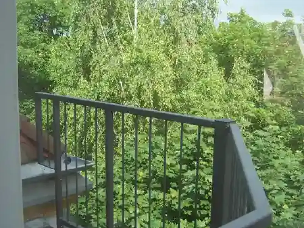 ***Lichtdurchflutete DG-Wohnung mit Balkon, Kamin und Wannenbad***