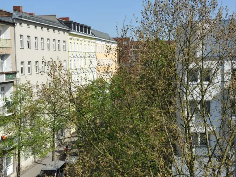 Sehr schöne und ästhetische Wohnung mit Wohnküche