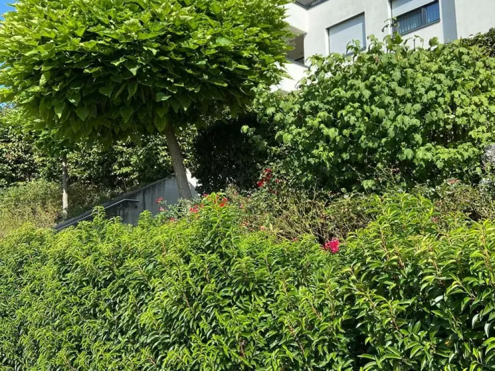 Moderne 3,5-Zimmer-Wohnung mit Garten in Kemnat zur Miete