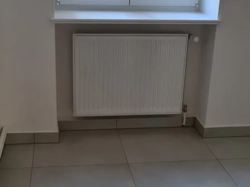 Wohnung mit Altbaucharme und Balkon