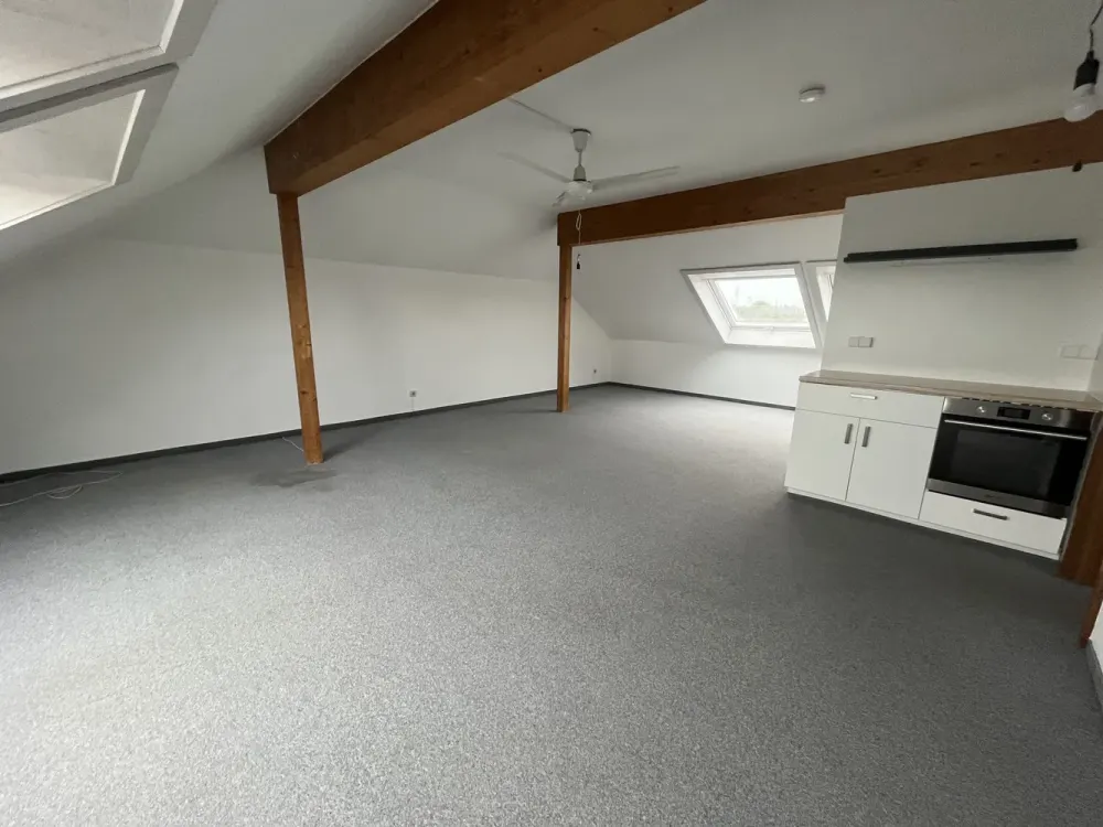 * Geräumige DG-Wohnung in Freiberg/N. *
