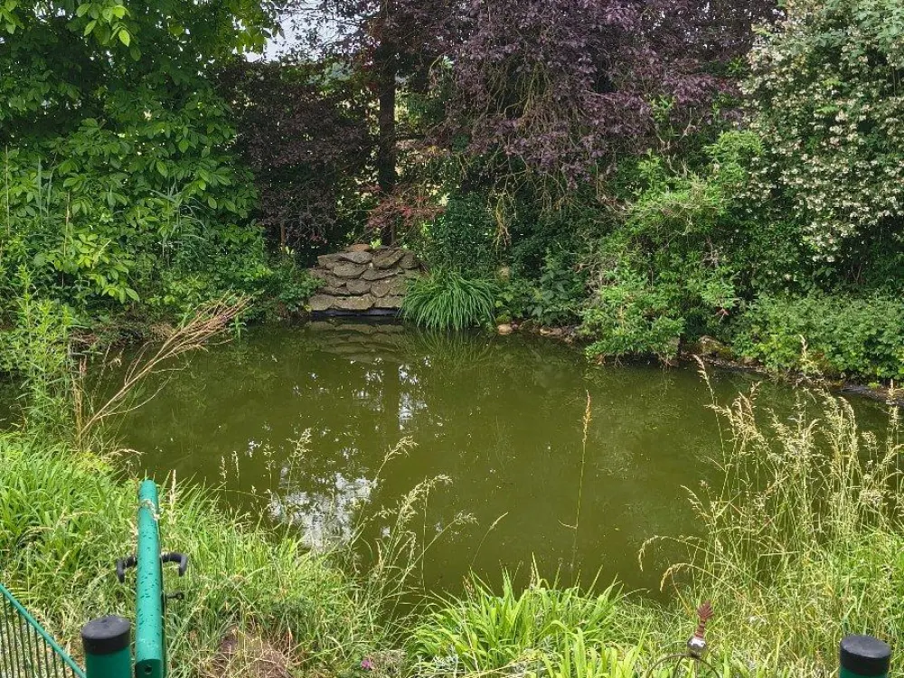 Whg+Gewerbe-Nachmiete an Naturliebhaber, 160qm+Garten/-Haus+Teich