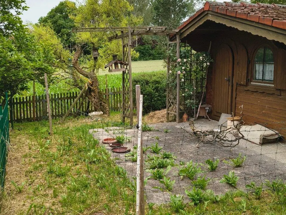 Whg+Gewerbe-Nachmiete an Naturliebhaber, 160qm+Garten/-Haus+Teich