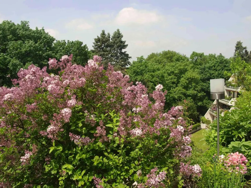 NEU komplett modern möbliert(falls gewünscht) direkt am Stadtpark mit grosser separater Küche