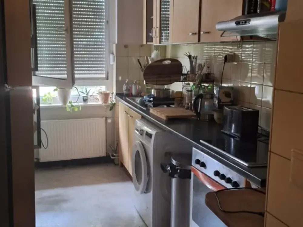 3-Zimmer-Wohnung in Frankfurt-Rödelheim, direkt am Brentanopark und der NIdda