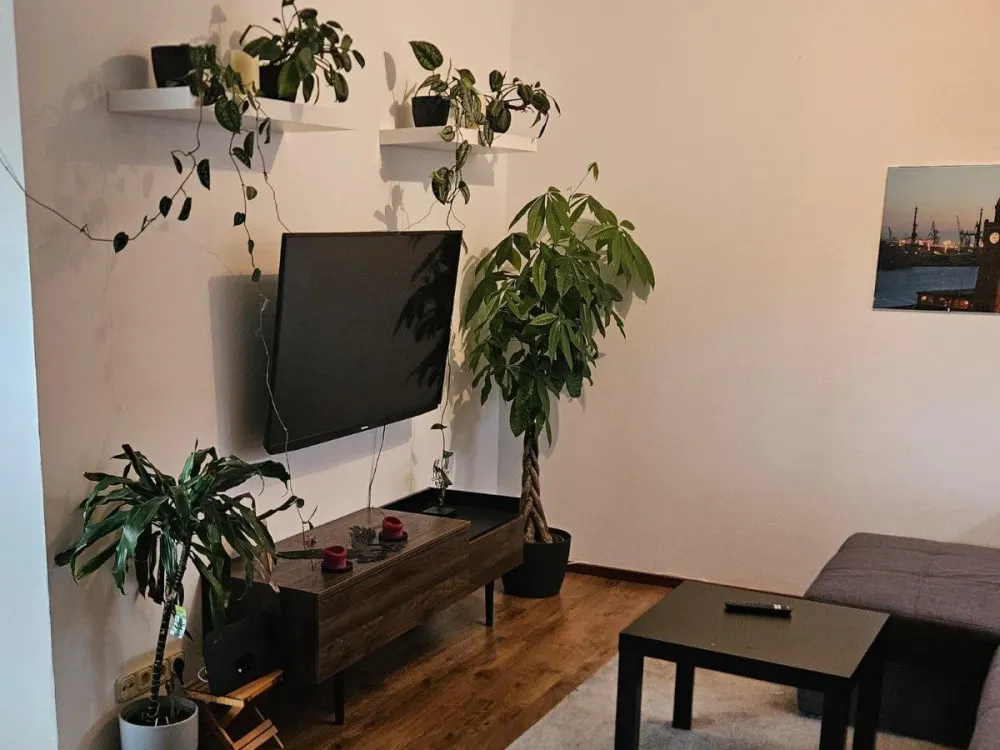 Wohnungsangebot Siek/Kreis Stormarn