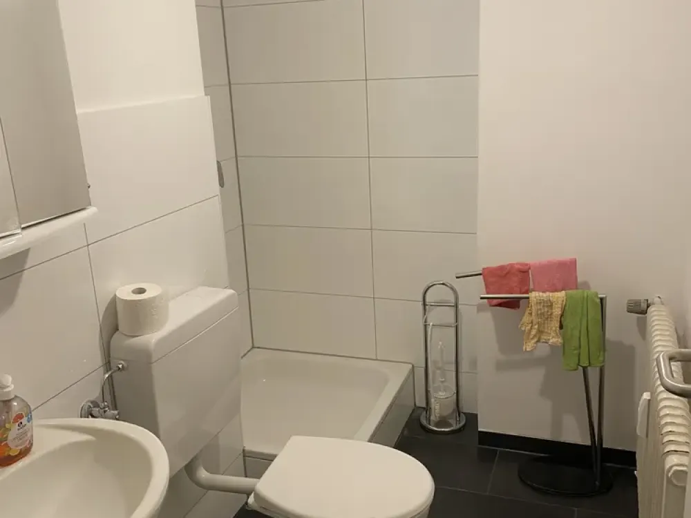 1 Zimmer Wohnung mit Balkon mit Mainblick und neuwertigem Bad