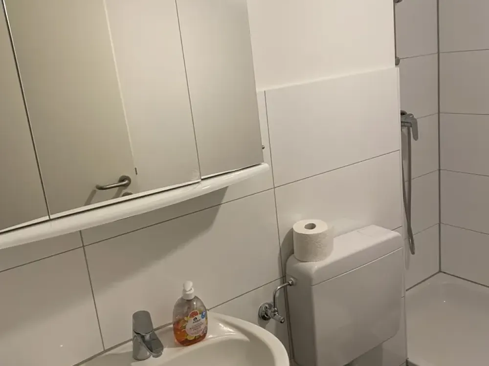 1 Zimmer Wohnung mit Balkon mit Mainblick und neuwertigem Bad