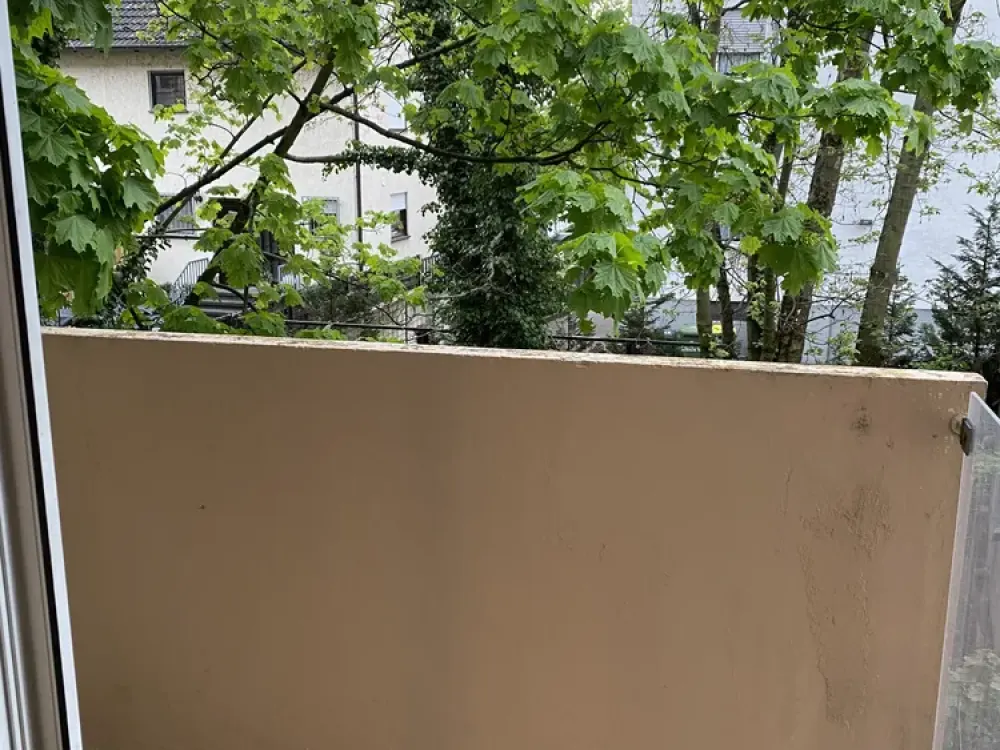 1 Zimmer Wohnung mit Balkon mit Mainblick und neuwertigem Bad