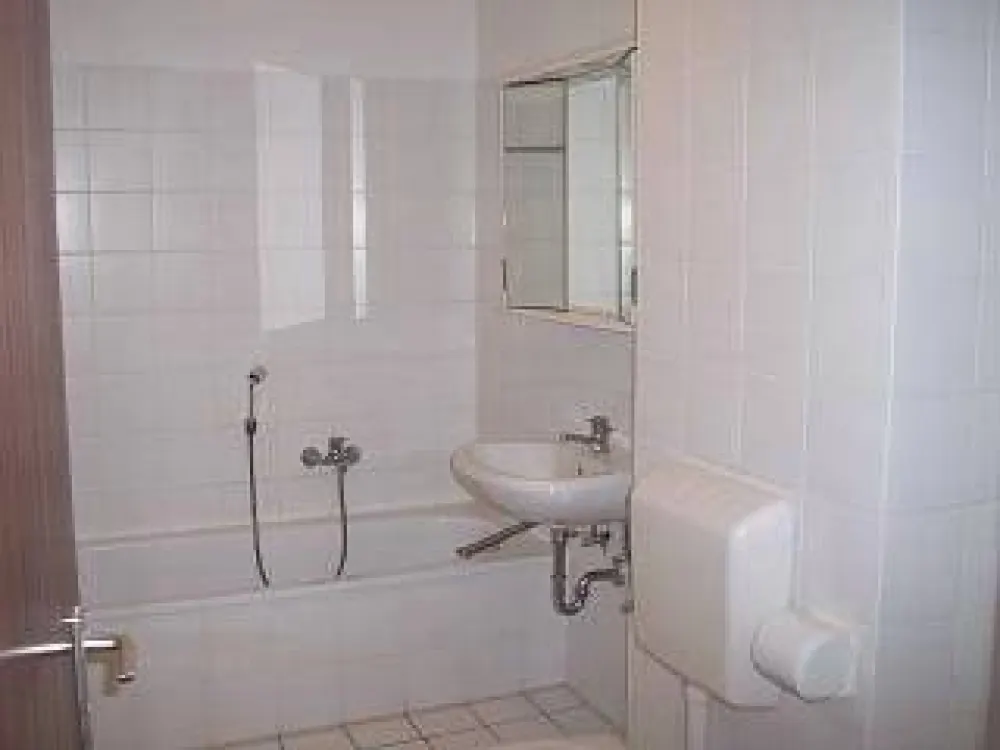 2-Raumwohnung-Dachgeschoss, Großzschocher
