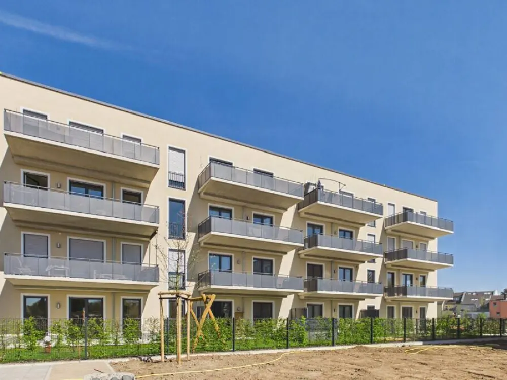 Traumhafte 4 -Zimmer-Neubauwohnung: Barrierefrei, familienfreundlich, mit Blick ins Grüne!